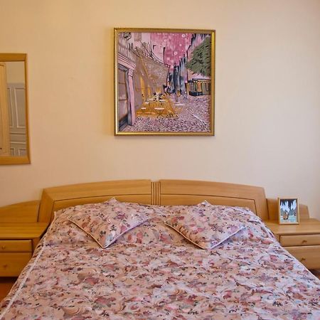 קרלובי וארי Apartman Na Zahradni מראה חיצוני תמונה