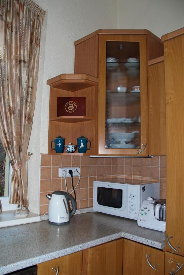קרלובי וארי Apartman Na Zahradni מראה חיצוני תמונה